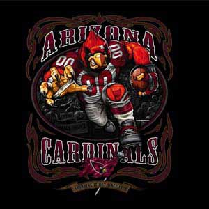 Liquid Blue NFL Arizona Cardinals Running Back Surface Pro Tablet Skin